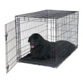 Foldable 48" Wire Crate for Dogs with Divider and Leak-Proof Tray